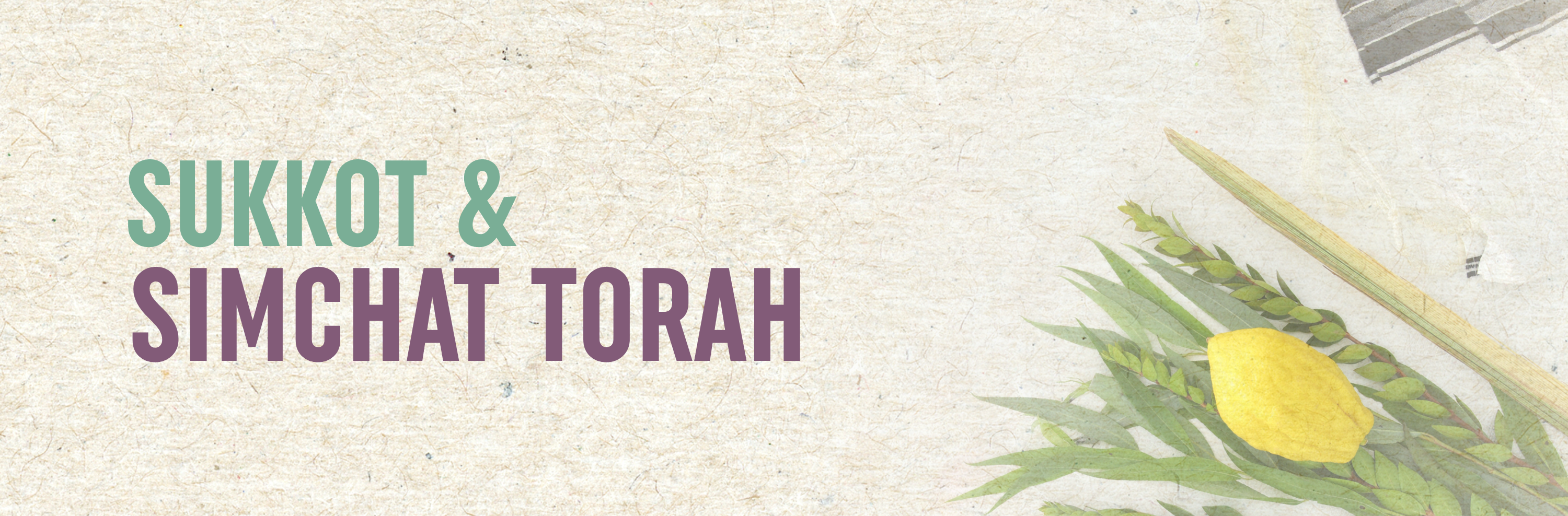 Sukkot Simchat Torah WEB.png